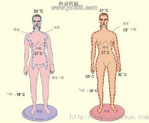 本图册为能量代谢与体温图片