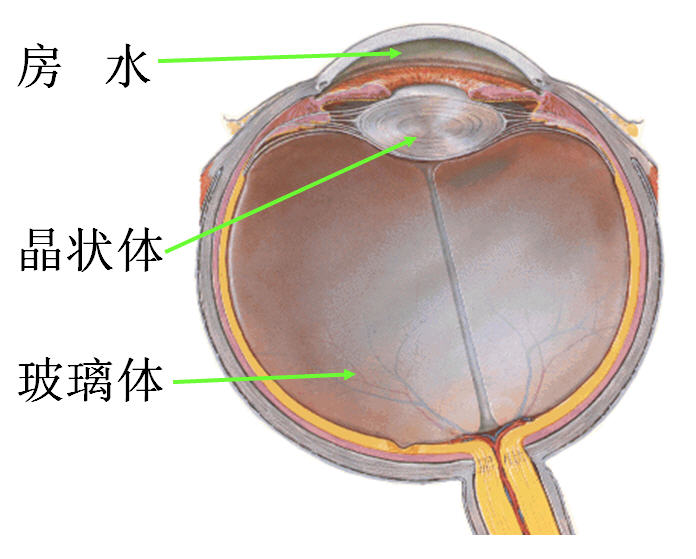 解剖生理学网络多媒体课程