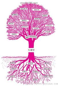 本图册为生理绪论图片