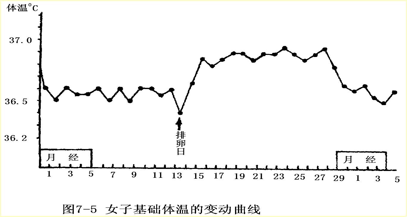 女性体温还随月经周期而变动,月经期至排卵这段时间体温较低,排卵日最